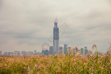 北京606高楼图片