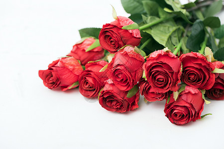 情人节的玫瑰花背景图片