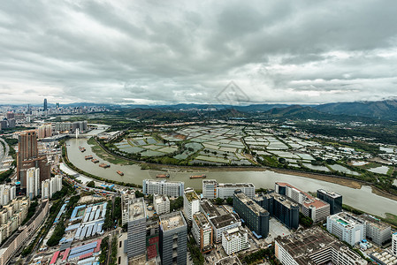 深圳海上田园深圳河背景