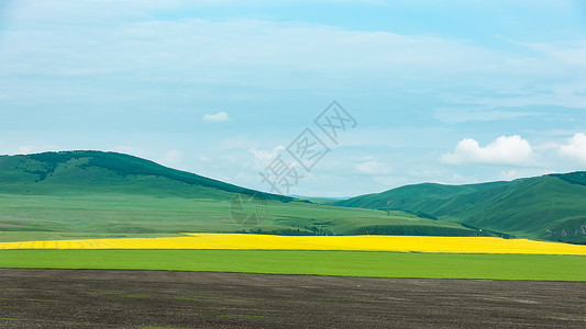 内蒙古呼伦贝尔大草原高清图片