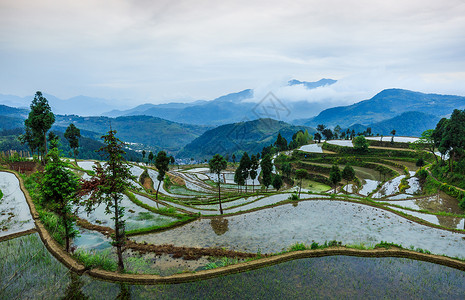 江南梯田春季灌水季节背景图片