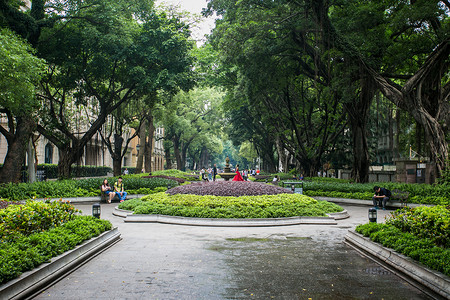 广州沙面街街心公园背景