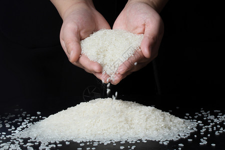 ps稻米素材东北大米背景