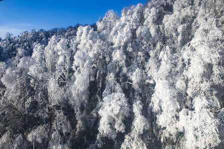 贵州天气冰天雪地背景