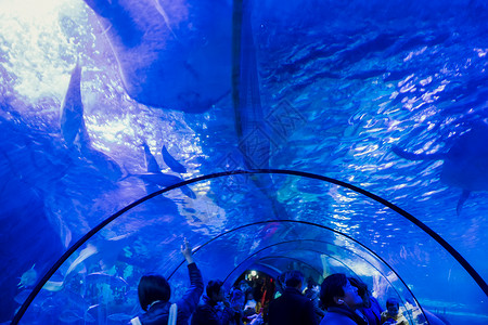 奇幻世界插画水族馆海底世界背景