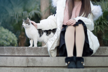 女孩与猫咪背景图片