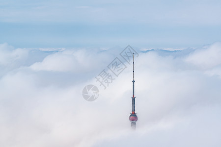 上海的平流雾图片