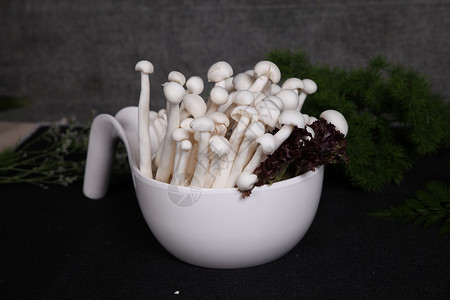 火锅配菜菇美味乳菇高清图片