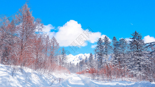东北雪背景图片