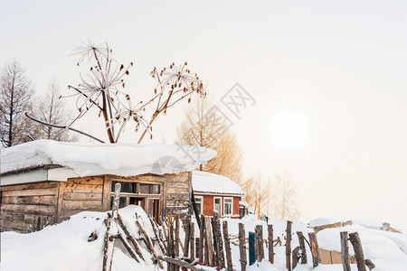 东北雪背景图片