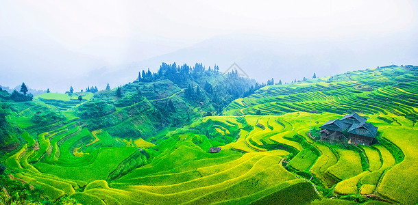 桑加贵州加榜梯田背景