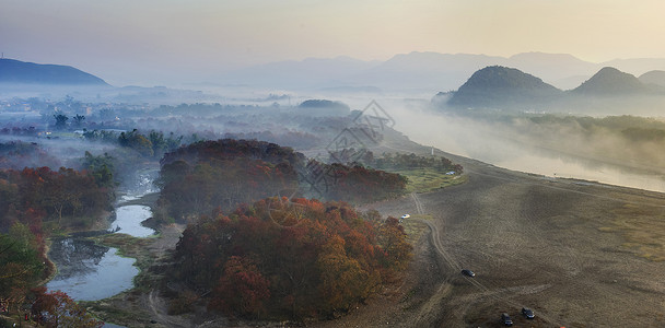 漓江乌桕滩晨曦背景