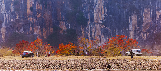 桂林冬季红似火背景