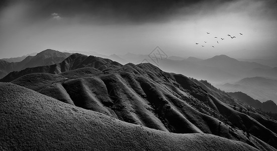 黑色飞鸟黑白意境山脉风光图背景