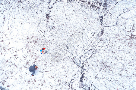 上海的第一场雪图片