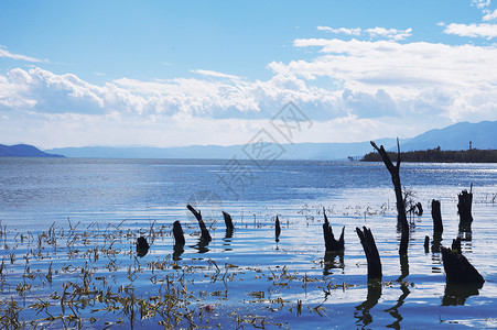 大理喜洲海舌公园大理海舌湿地公园背景