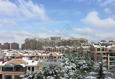 小区下雪雪后小区的风景背景