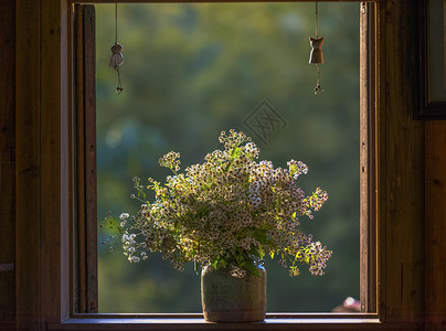 花瓶里花草窗背景