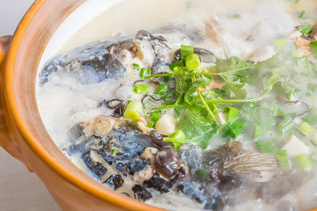 花鲢鱼头汤传统欧头鱼高清图片