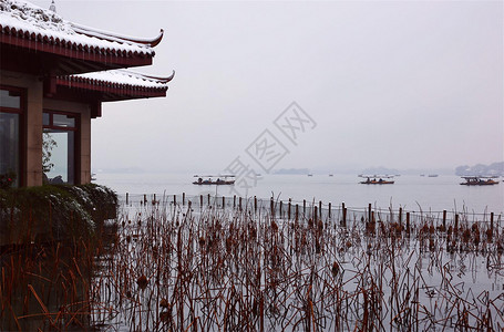 西湖雨下雨下雪天的西湖背景