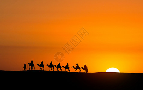 骑骆驼团队精神剪影设计图片