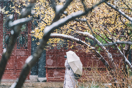 中式古典园林中的雪景背景图片