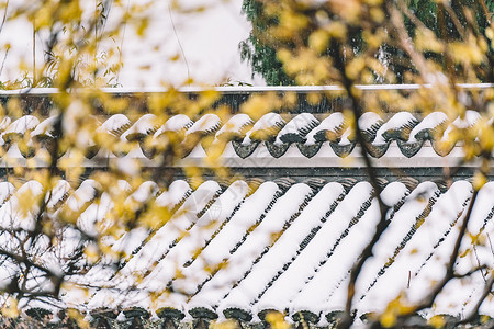 庭院雨中式古典园林中的雪景背景