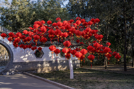 喜庆春节图片