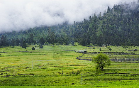 大山草地大山风景背景