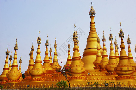 华西金塔西双版纳傣族建筑佛塔背景