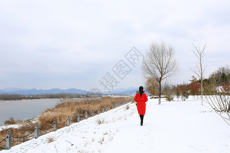 枯树干上女孩南国雪景背景