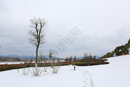 南国雪景脚印素材免费高清图片