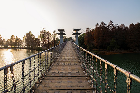 落雁景区武汉东湖落雁岛景区风光背景