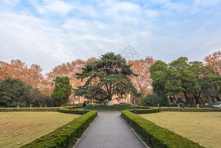 安徽合肥中国科技大学校园风光背景图片