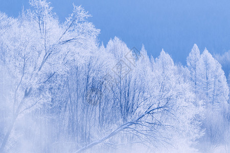 雪景图片