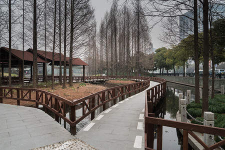桥围栏上海塘桥公园休闲步道背景