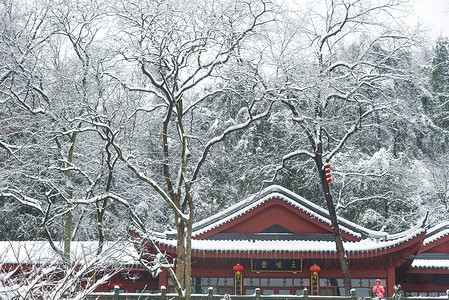 雪天防滑雪中的寺庙背景