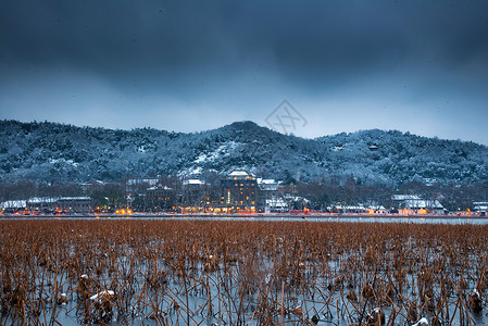 西湖残荷西湖雪景北山路高清图片