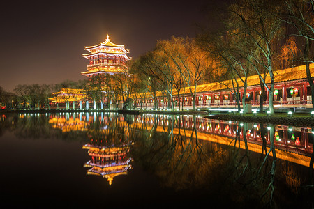 大堂芙蓉园大唐芙蓉园夜景背景