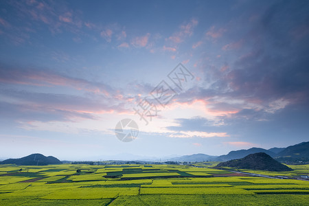 山花山开春未归云南罗平油菜花田背景