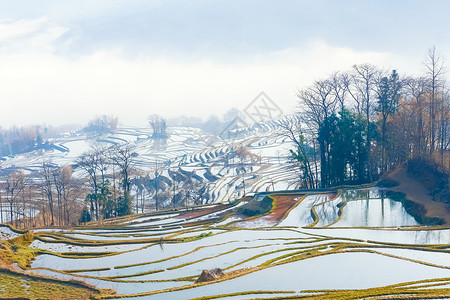 山花山开春未归云南元阳梯田晨雾背景