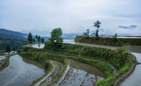 江南梯田春季灌水季节背景图片