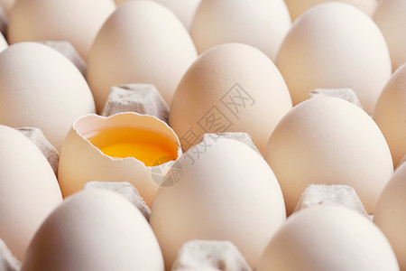 托加纸托设计感鸡蛋背景