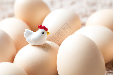 鸡蛋营养小鸡蛋高清图片