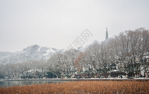 雪后西湖图片