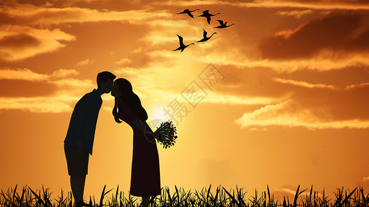 两只鸟亲吻夕阳下亲吻的情侣设计图片