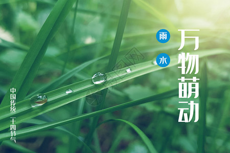 清爽绿色叶子二十四节气雨水设计图片