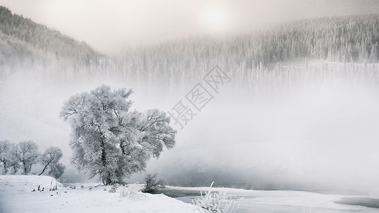 树的积雪素材雾凇雪景背景