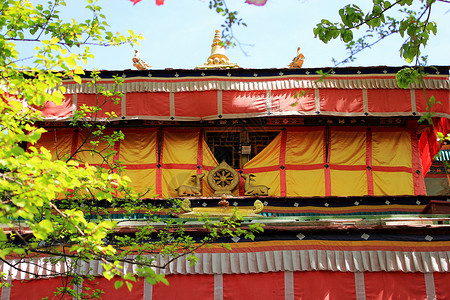佛教场所拉萨的寺庙背景