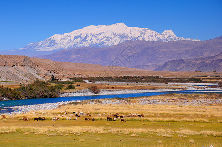 黑白线条河流新疆帕米尔高原昆仑山慕士塔格峰风光摄影背景